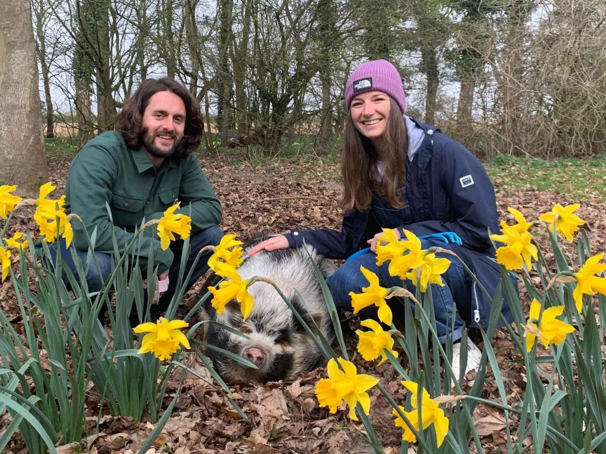 Starry Meadow & Rescued Animal Experiences Great Yarmouth