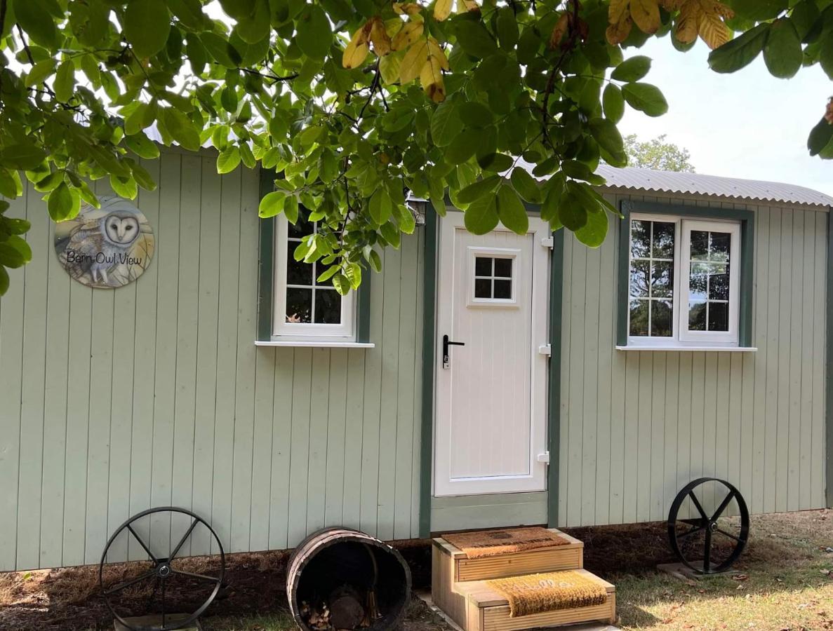 Casa de Férias Starry Meadow & Rescued Animal Experiences Great Yarmouth