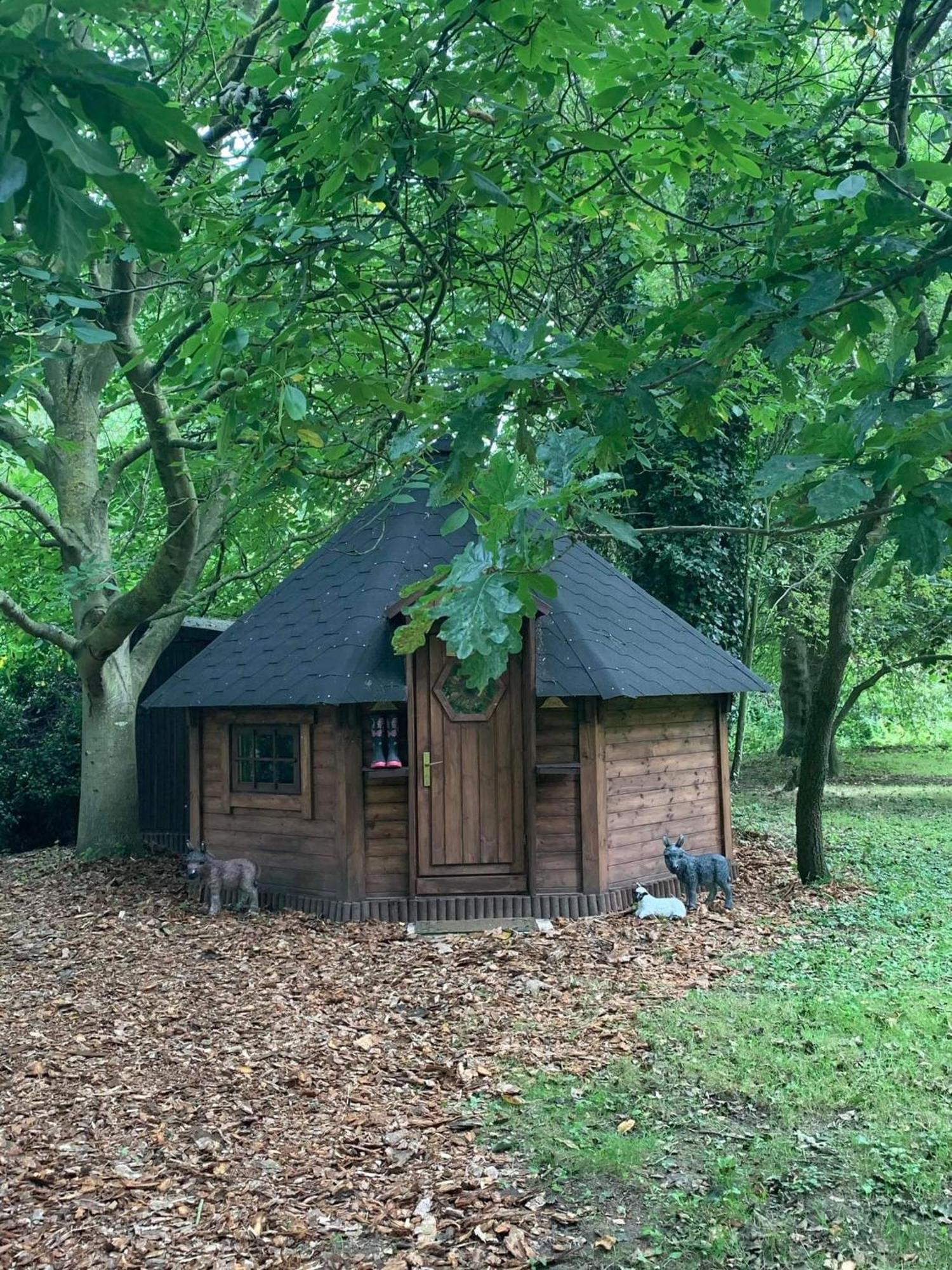 Starry Meadow & Rescued Animal Experiences *