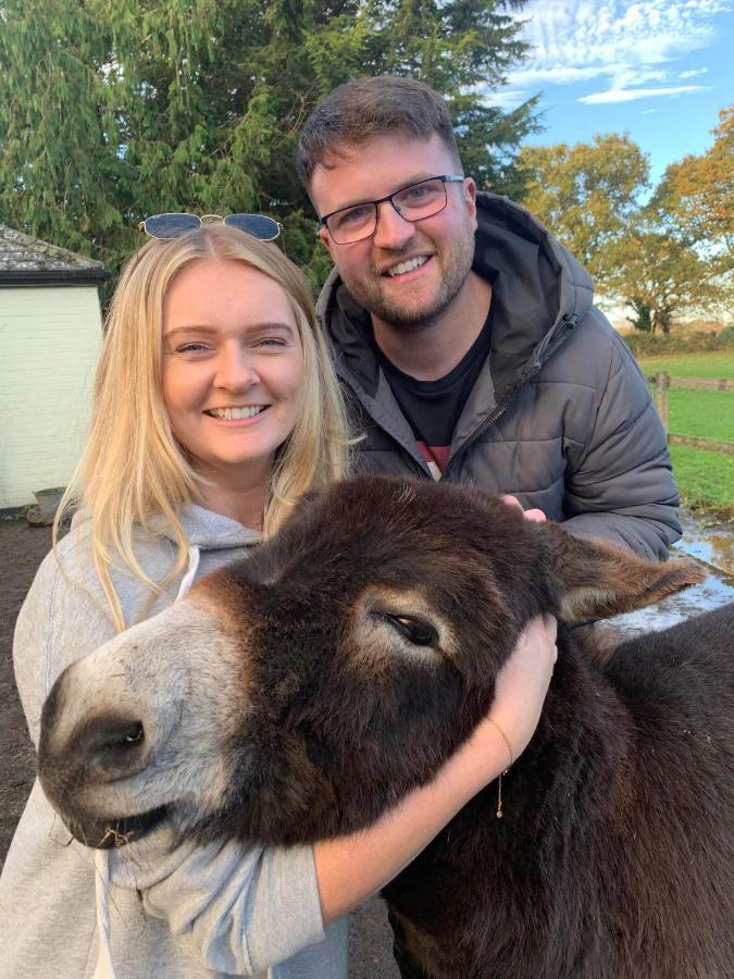Starry Meadow & Rescued Animal Experiences