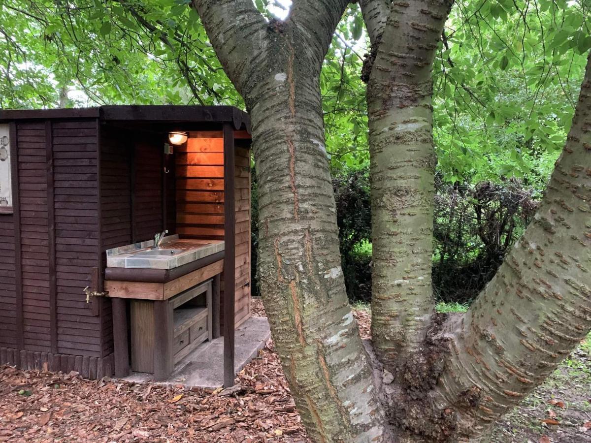 Holiday home Starry Meadow & Rescued Animal Experiences *