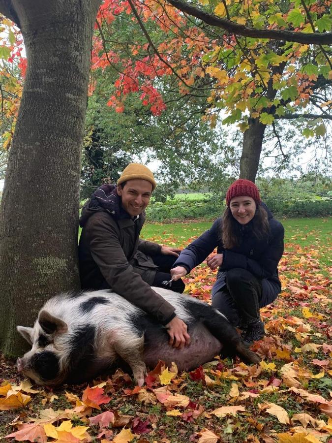 Holiday home Starry Meadow & Rescued Animal Experiences Great Yarmouth