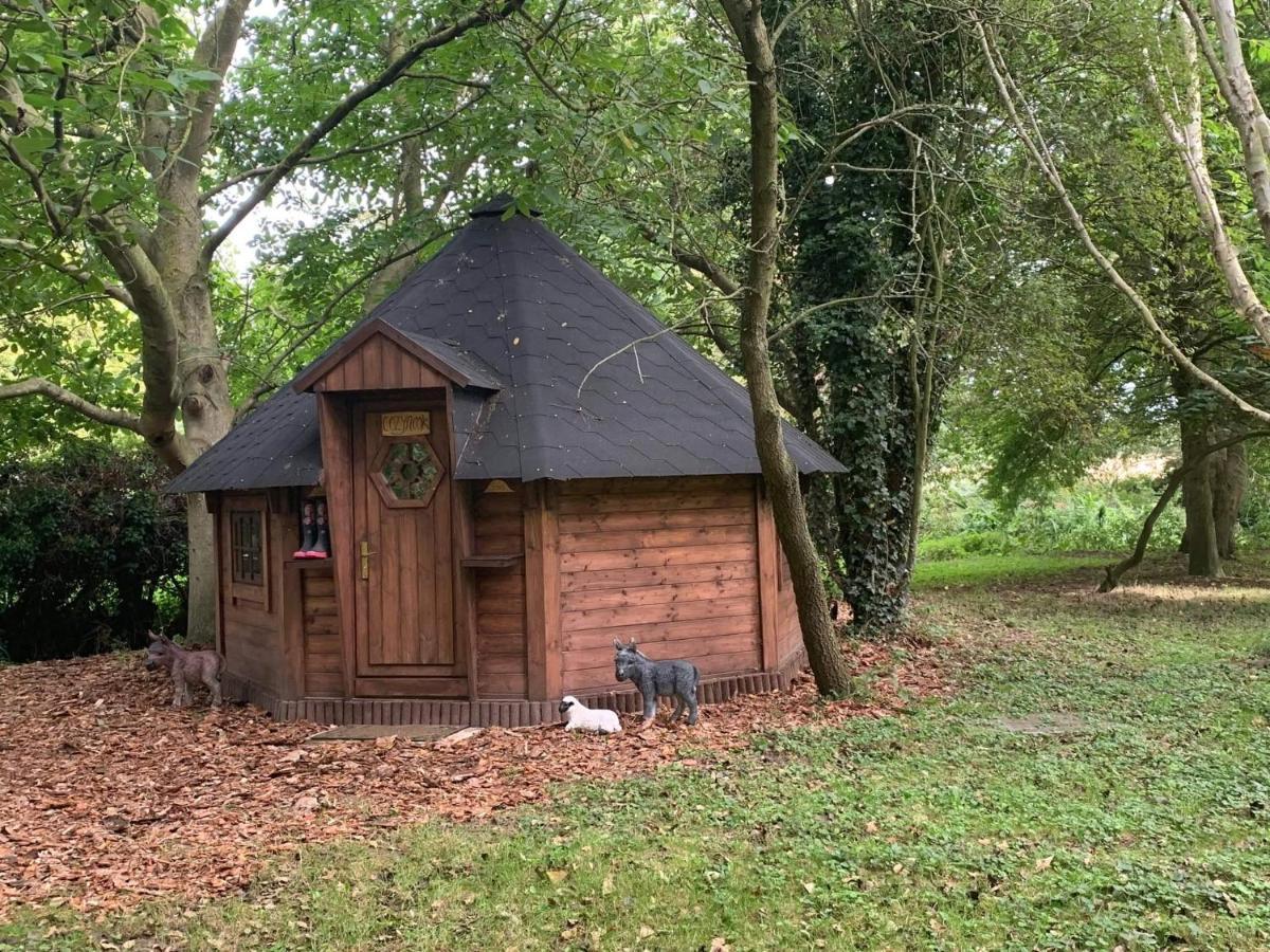 Starry Meadow & Rescued Animal Experiences