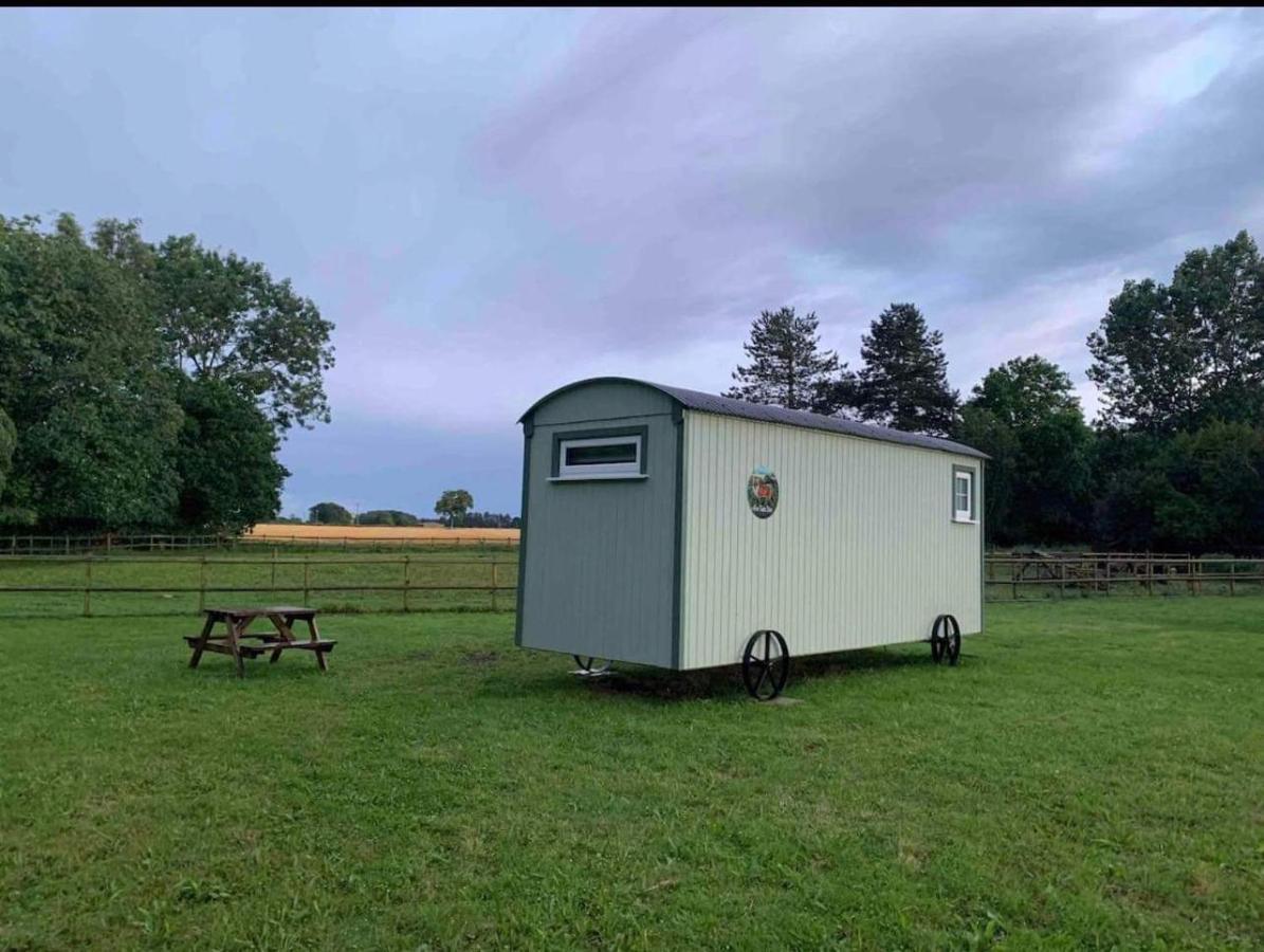 Starry Meadow & Rescued Animal Experiences Holiday home