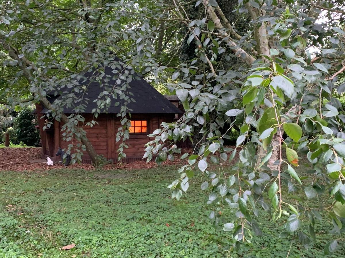Starry Meadow & Rescued Animal Experiences Casa vacanze *