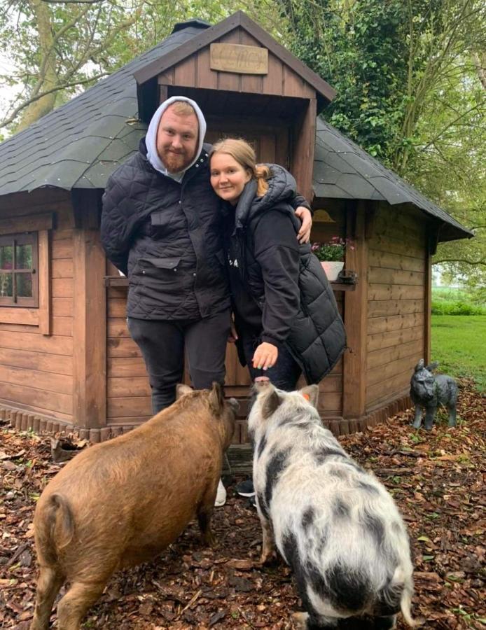 Starry Meadow & Rescued Animal Experiences