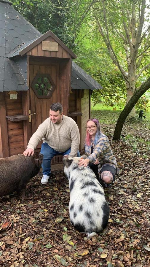 Casa vacanze Starry Meadow & Rescued Animal Experiences *