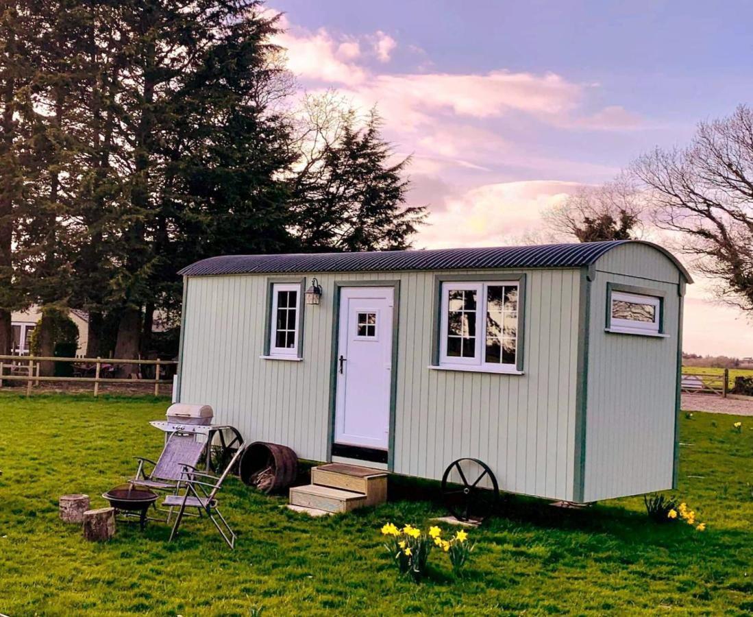 Casa vacanze Starry Meadow & Rescued Animal Experiences