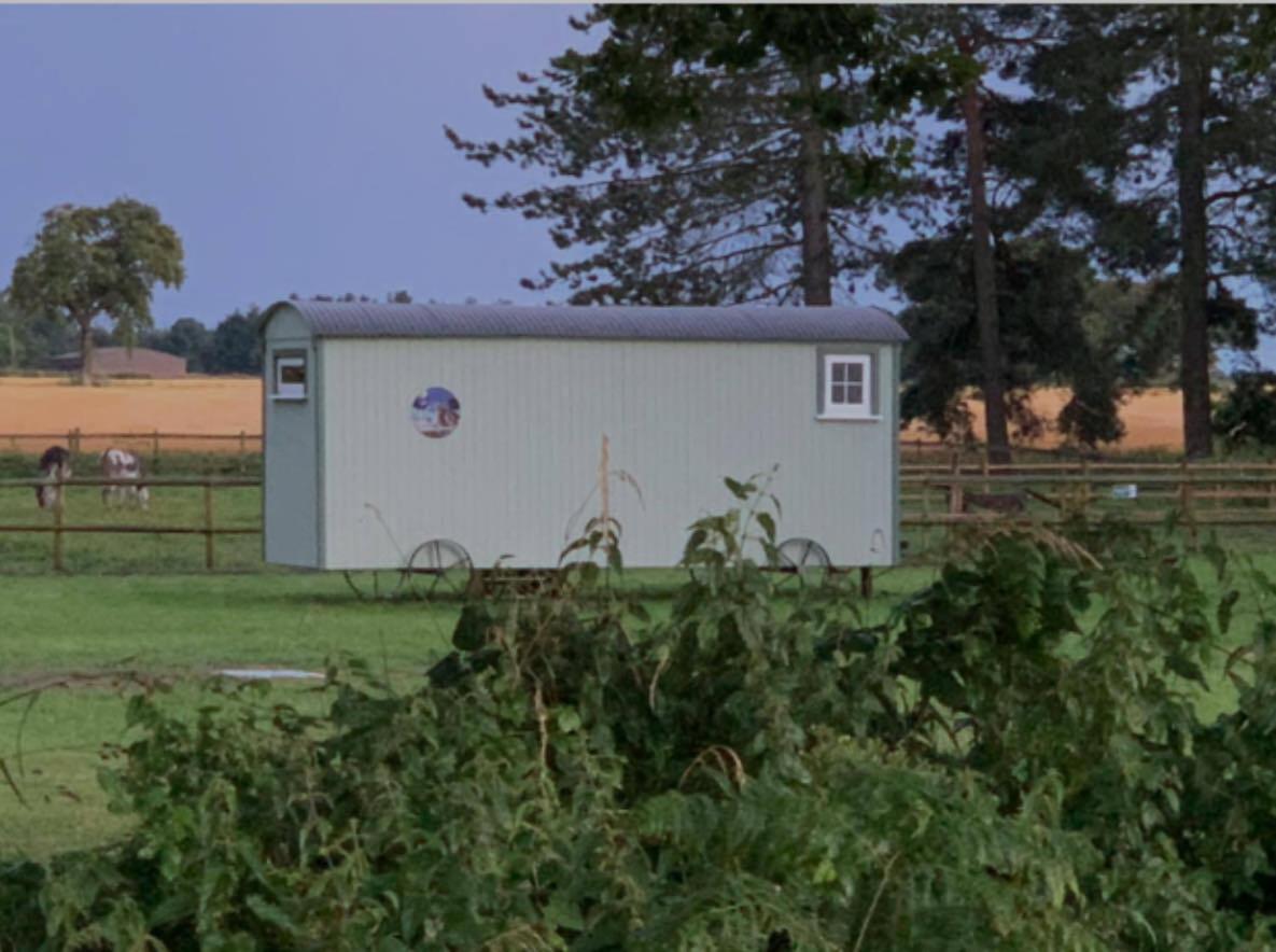 Starry Meadow & Rescued Animal Experiences Casa vacanze